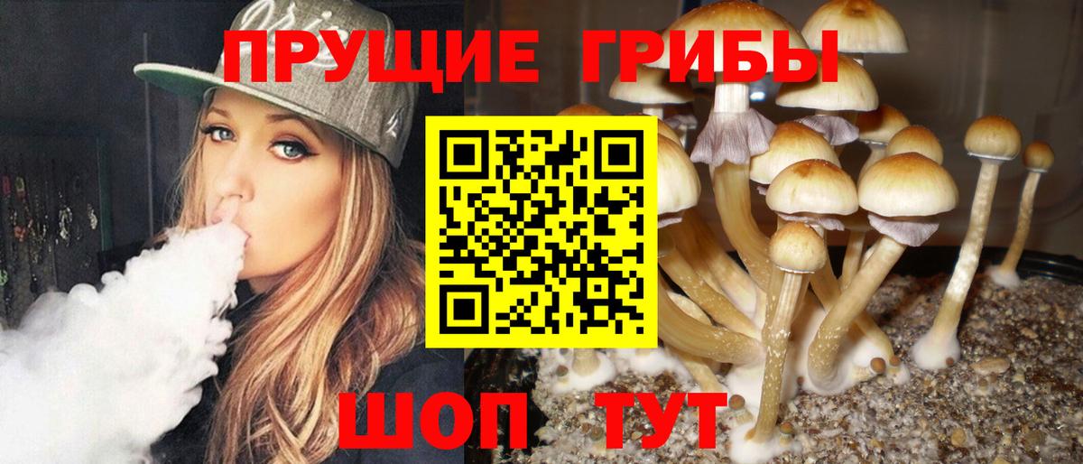 Соль-Илецк  наркошоп  Галлюциногенные грибы мицелий  Вход с VPN  Псилоцибиновые грибы Psilocybine cubensis 