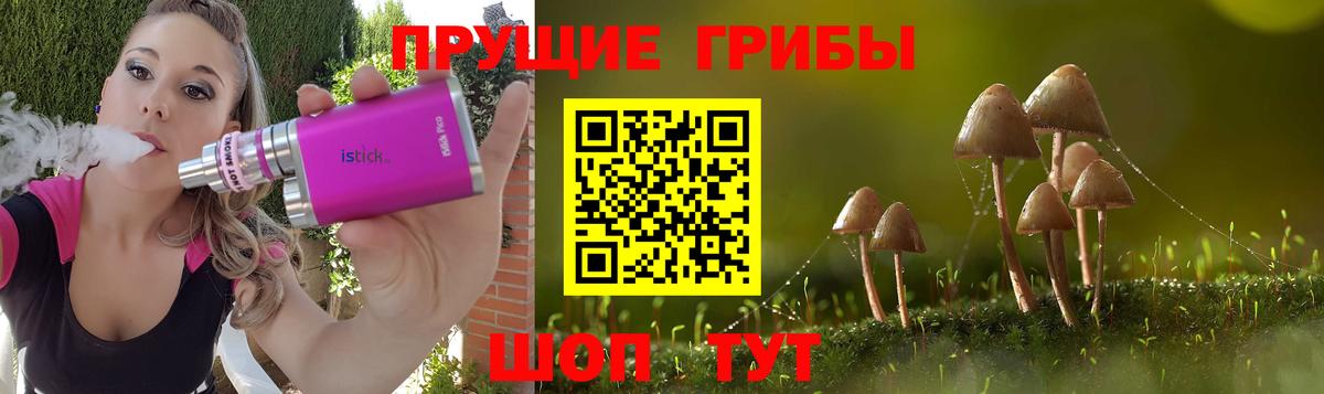 APVP Соль-Илецк